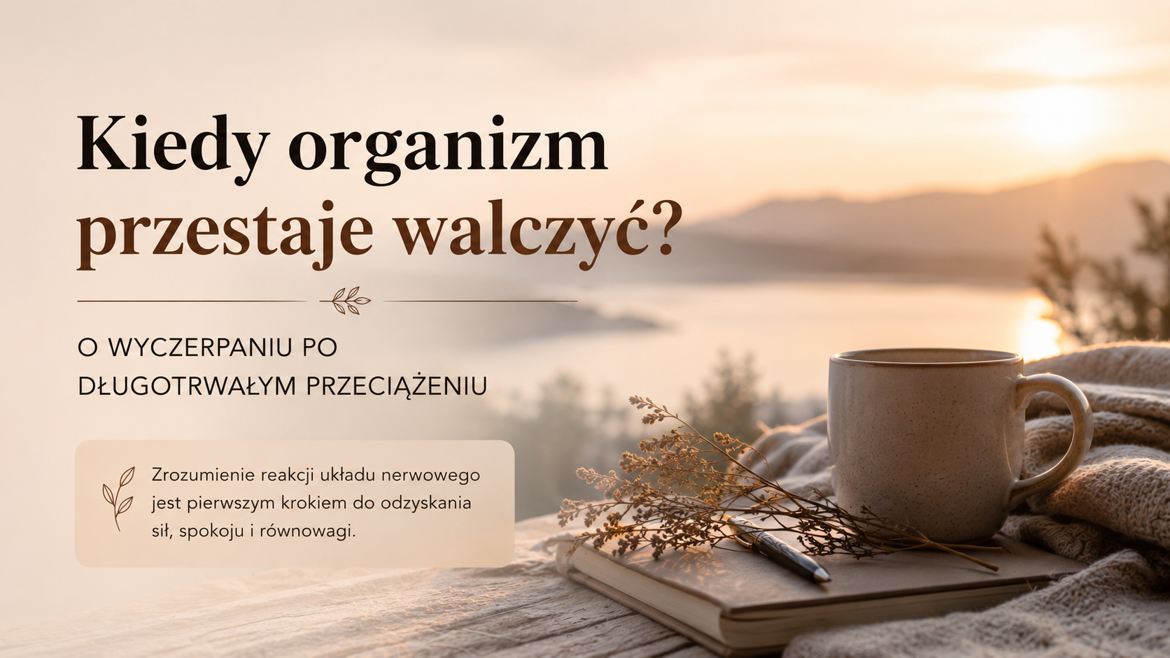 Kiedy organizm przestaje walczyć.      O wyczerpaniu po długotrwałym przeciążeniu cz.2